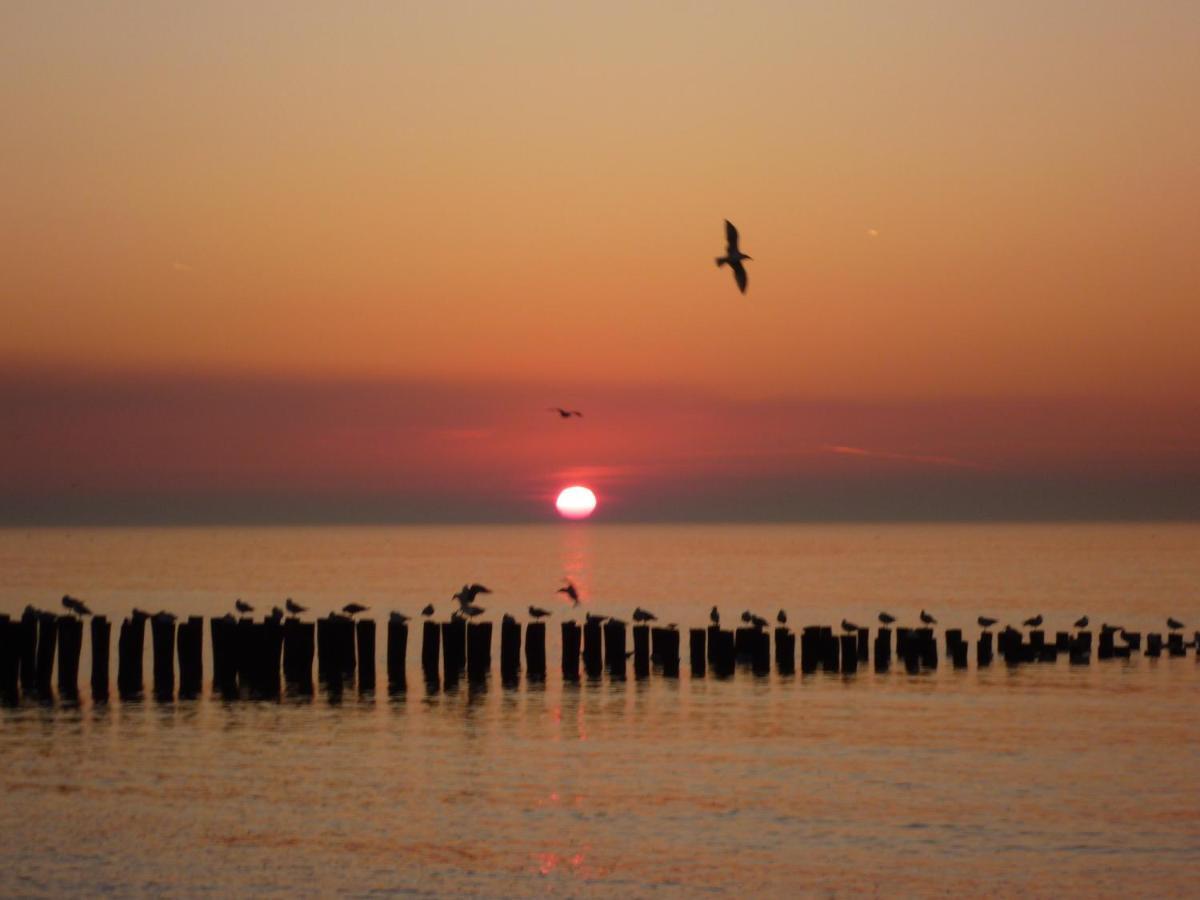 Vakantiehuis Domburg DO12 Buitenkant foto